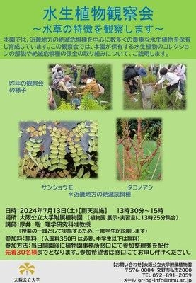 水生植物観察会