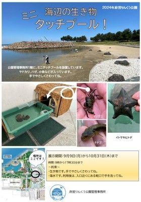 海辺の生き物ミニタッチプール