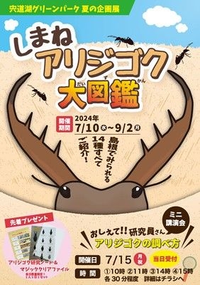 夏の企画展「しまねアリジゴク大図鑑」