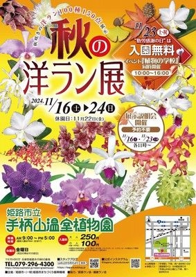 姫路市立手柄山温室植物園　秋の洋ラン展