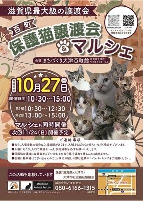 百町保護猫譲渡会＆マルシェ