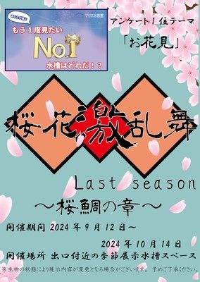 桜花激乱舞 Last season ～桜鯛の章～