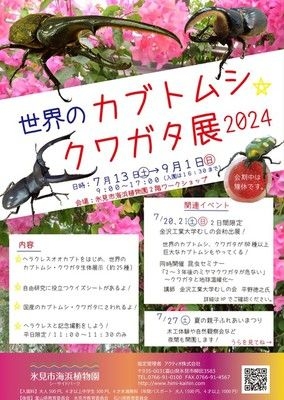 世界のカブトムシ・クワガタ展2024