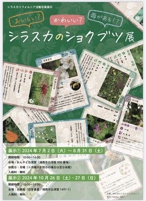 おいしい？かわいい？毒がある？シラスカのショクブツ展