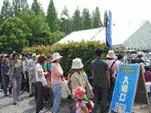 スワップミート in 花博公園（12月）