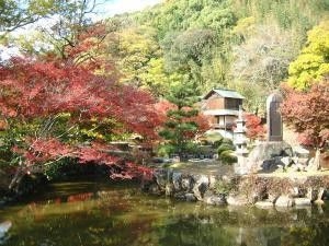 【紅葉・見ごろ】近水園