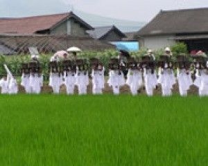 国造神社　おんだ祭り