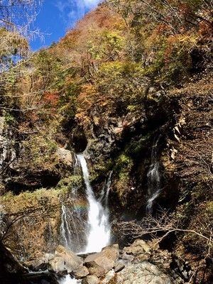 【紅葉・見ごろ】裏見ノ滝