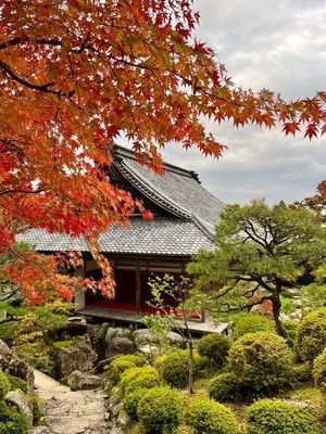 湖東三山 百済寺(国史跡)の紅葉