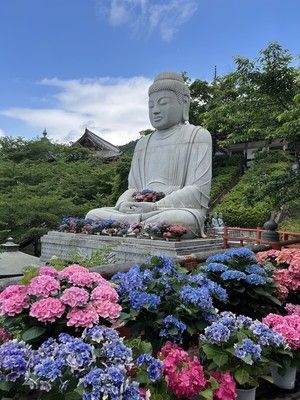 大和三大観音 あぢさゐ回廊(壷阪寺遍)