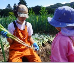 大自然まっしぐら。海・山・畑、自然豊かな北海道の魅力を存分に体験！