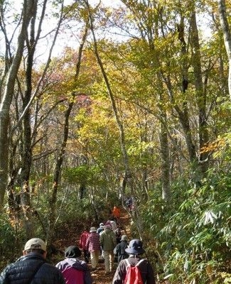 第33回氷ノ山紅葉登山フェスティバル