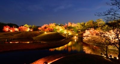 梅小路公園 朱雀の庭の紅葉