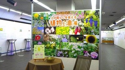 人の暮らしを支える『植物と油』展