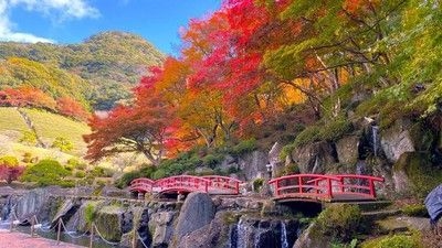 【紅葉・見ごろ】慧洲園