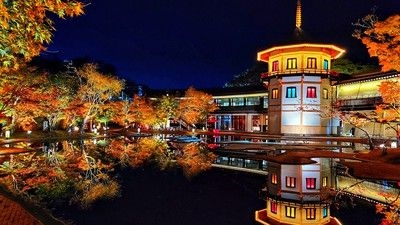 宮城県 松島離宮の紅葉