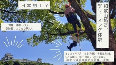 お城でツリーイング体験!! 和歌山城で木登りにチャレンジ!!