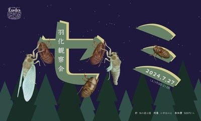 セミの羽化を観察しよう！2024