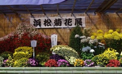 第73回 浜松菊花大会