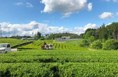 「木を切ってから商品になるまでを知る体験」～木の実を探して木工体験～(11月)