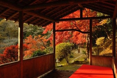 白龍園の紅葉(2024白龍園 秋の特別公開)