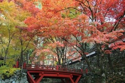 横蔵寺もみじまつり