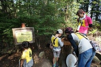 広島市森林公園　グリーンアドベンチャー