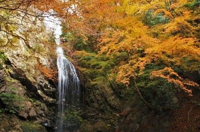 滝山渓谷紅葉まつり