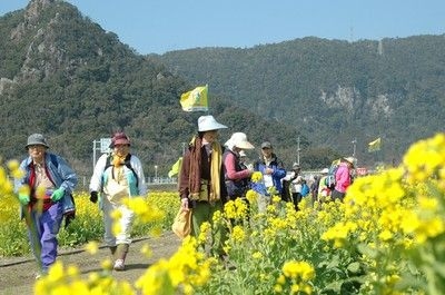 第33回いぶすき菜の花マーチ