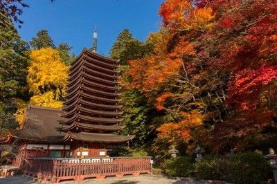 【紅葉・見ごろ】談山神社