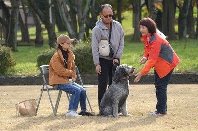 初めての犬のマナー教室