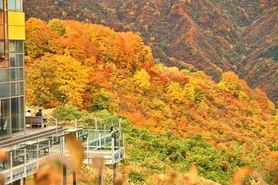 ザ・ヴェランダ石打丸山の紅葉