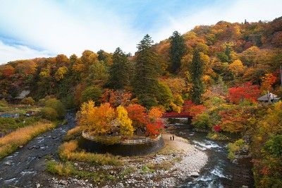 中野もみじ山の紅葉