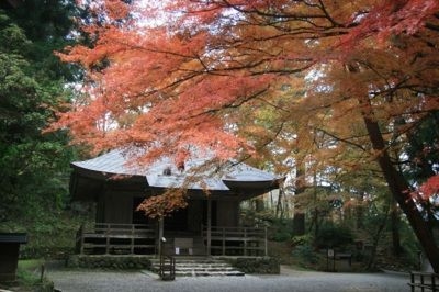 中尊寺の紅葉