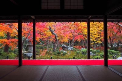 洛北(圓光寺)の紅葉