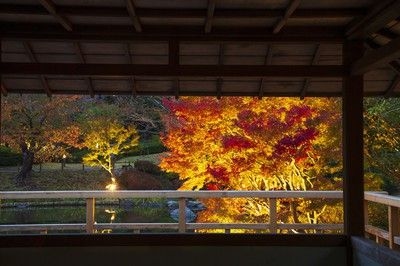 しあわせの村の紅葉