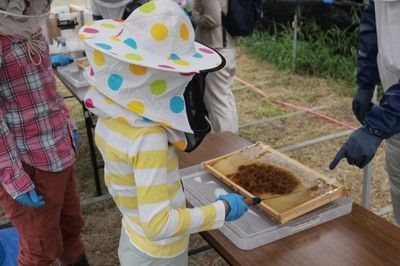 採蜜体験イベント