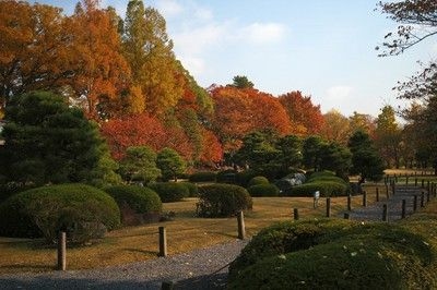 元離宮二条城の紅葉