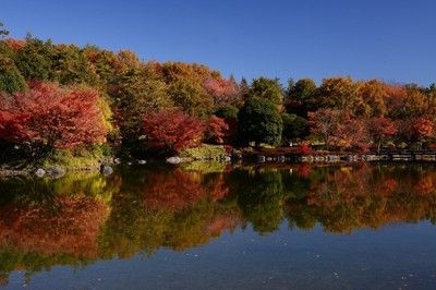 国営昭和記念公園　瀬戸豊彦写真展「昭和記念公園秋景色」