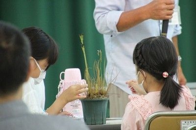 第２回食虫植物教室