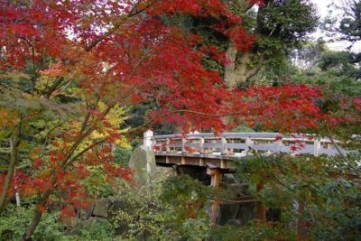 徳川園の紅葉