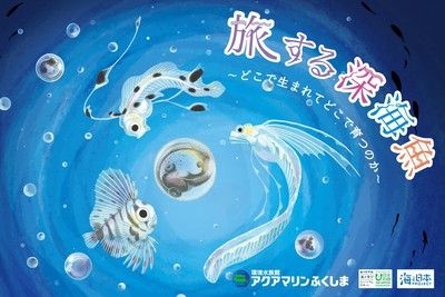 旅する深海魚～どこで生まれてどこで育つのか～