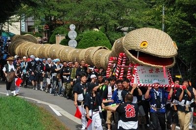 えちごせきかわ大したもん蛇まつり