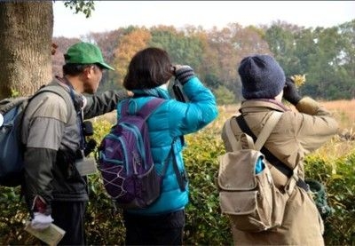 国営昭和記念公園　野鳥観察会2024（10月）