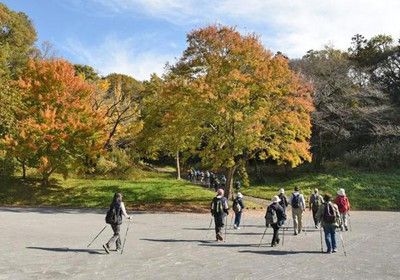 ノルディックウォーキング歩こう会（11月）