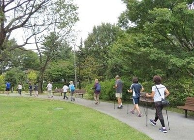 都立六仙公園「ノルディックウォーキング教室」（１１月）