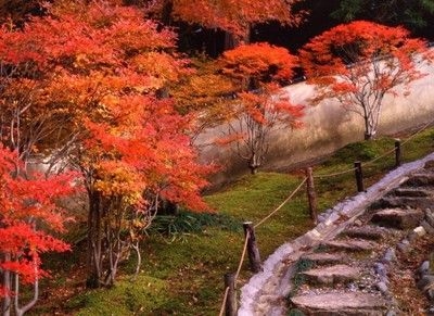 【紅葉・見ごろ】翡翠園