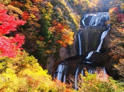 【紅葉・見ごろ】袋田の滝