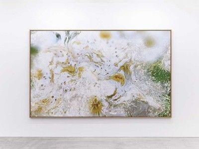 企画展「Nerhol(ネルホル)　水平線を捲る」