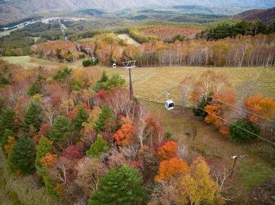 ハンターマウンテン 紅葉ハンターゴンドラの紅葉